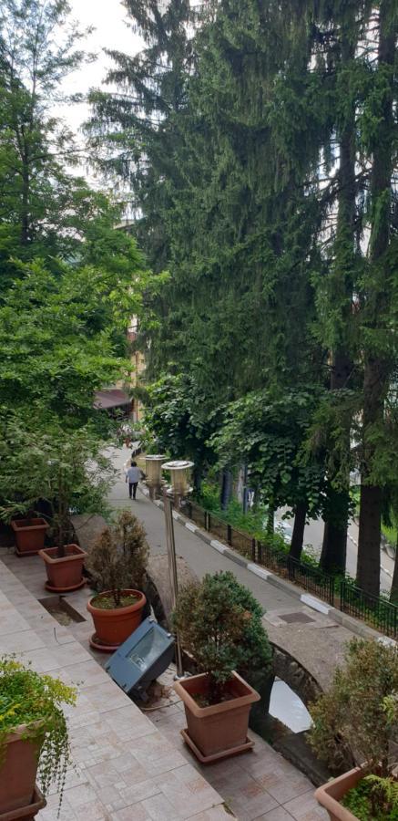Rosa Villa Băile Olăneşti Екстериор снимка
