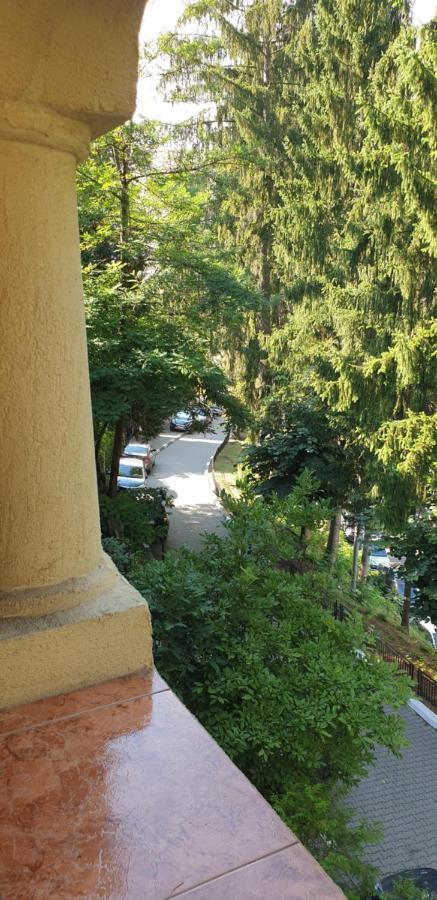 Rosa Villa Băile Olăneşti Екстериор снимка