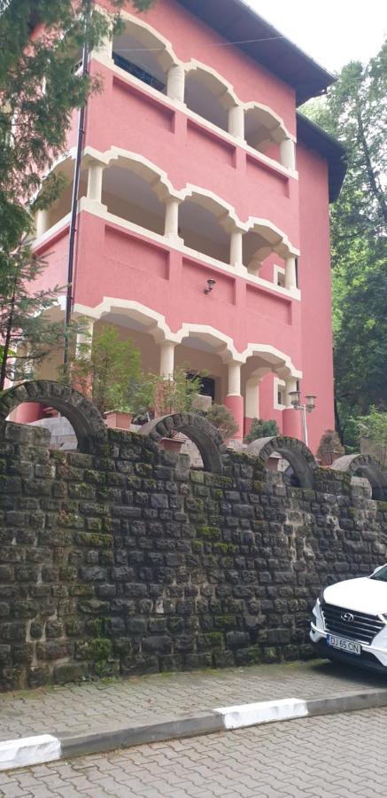 Rosa Villa Băile Olăneşti Екстериор снимка