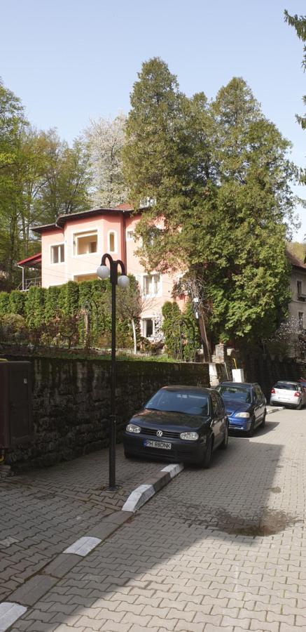 Rosa Villa Băile Olăneşti Екстериор снимка