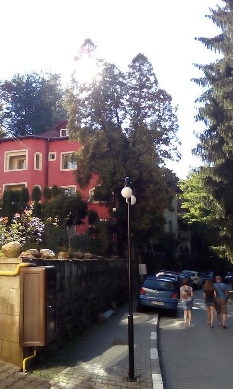 Rosa Villa Băile Olăneşti Екстериор снимка